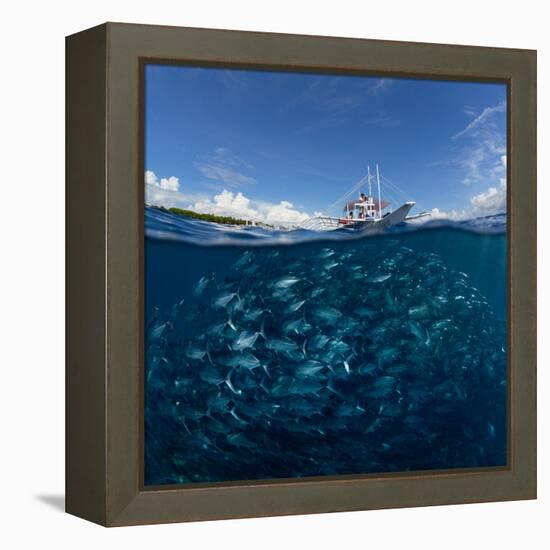 Go diving?-Andrey Narchuk-Framed Premier Image Canvas