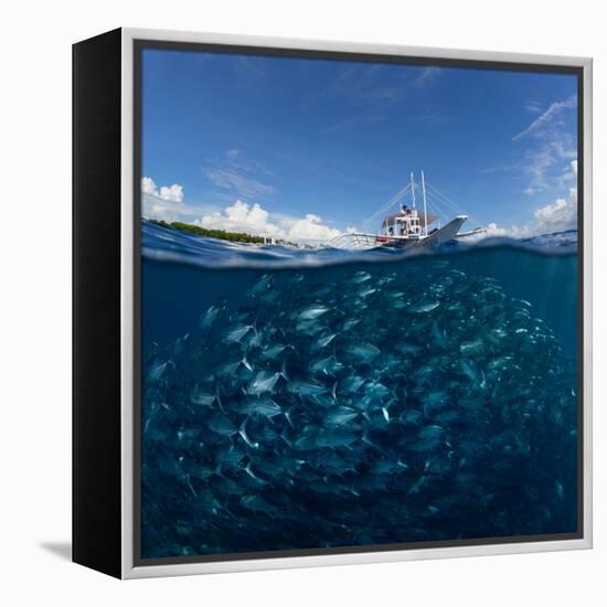 Go diving?-Andrey Narchuk-Framed Premier Image Canvas