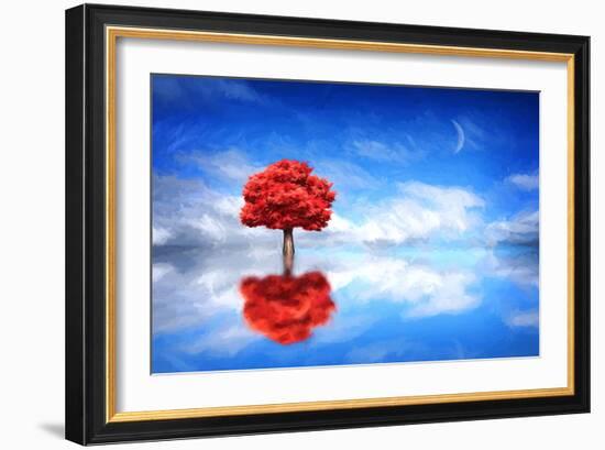 Go it Alone-Philippe Sainte-Laudy-Framed Photographic Print