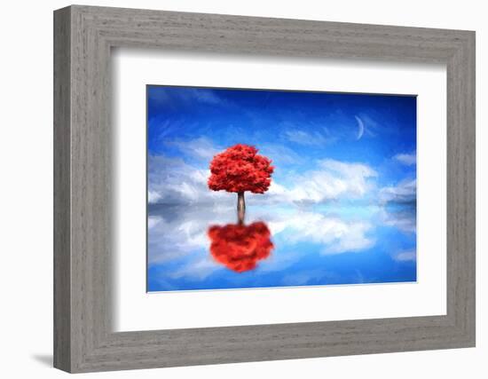 Go it Alone-Philippe Sainte-Laudy-Framed Photographic Print