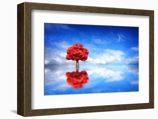 Go it Alone-Philippe Sainte-Laudy-Framed Photographic Print