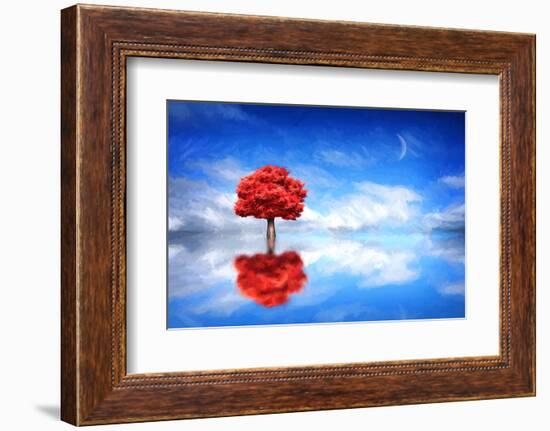 Go it Alone-Philippe Sainte-Laudy-Framed Photographic Print