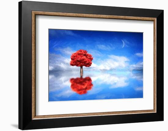 Go it Alone-Philippe Sainte-Laudy-Framed Photographic Print