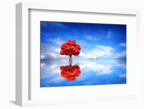 Go it Alone-Philippe Sainte-Laudy-Framed Photographic Print