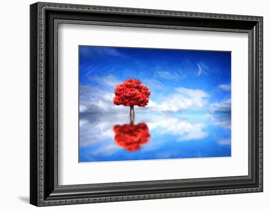 Go it Alone-Philippe Sainte-Laudy-Framed Photographic Print