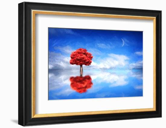 Go it Alone-Philippe Sainte-Laudy-Framed Photographic Print