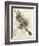 Go On!, 1876-Thomas Nast-Framed Giclee Print