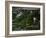 Go with the Flow-Nicole Katano-Framed Photo