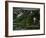 Go with the Flow-Nicole Katano-Framed Photo