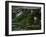 Go with the Flow-Nicole Katano-Framed Photo