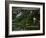 Go with the Flow-Nicole Katano-Framed Photo