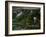 Go with the Flow-Nicole Katano-Framed Photo