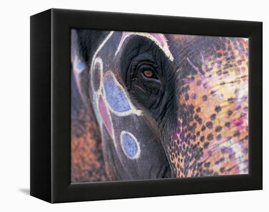 Goa, India, Close-up of Elephants Eye-Peter Adams-Framed Premier Image Canvas