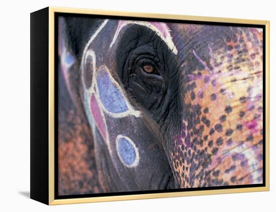 Goa, India, Close-up of Elephants Eye-Peter Adams-Framed Premier Image Canvas