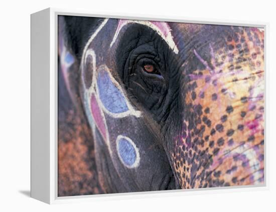 Goa, India, Close-up of Elephants Eye-Peter Adams-Framed Premier Image Canvas