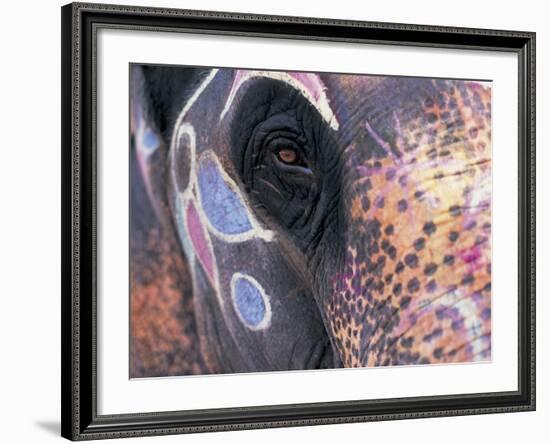 Goa, India, Close-up of Elephants Eye-Peter Adams-Framed Photographic Print