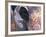 Goa, India, Close-up of Elephants Eye-Peter Adams-Framed Photographic Print