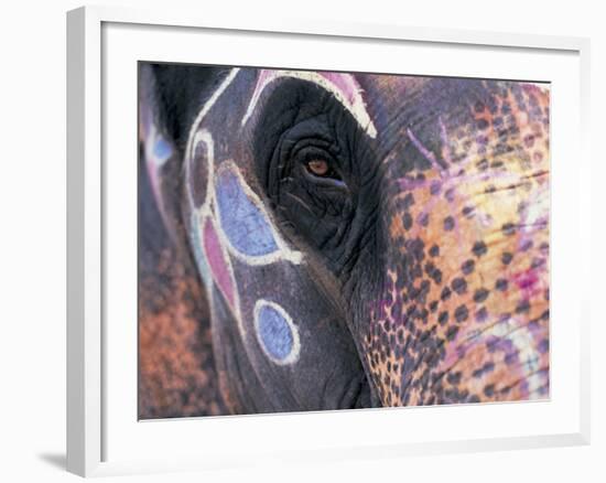 Goa, India, Close-up of Elephants Eye-Peter Adams-Framed Photographic Print