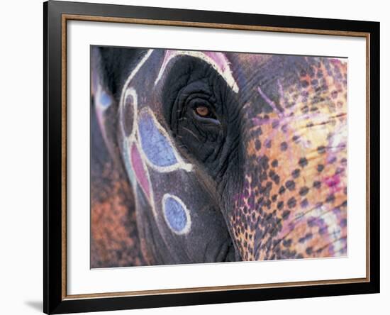 Goa, India, Close-up of Elephants Eye-Peter Adams-Framed Photographic Print