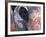 Goa, India, Close-up of Elephants Eye-Peter Adams-Framed Photographic Print