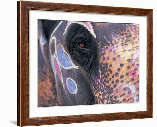 Goa, India, Close-up of Elephants Eye-Peter Adams-Framed Photographic Print