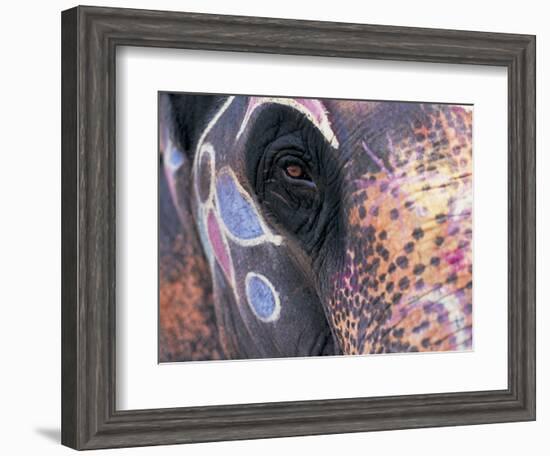 Goa, India, Close-up of Elephants Eye-Peter Adams-Framed Photographic Print