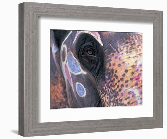 Goa, India, Close-up of Elephants Eye-Peter Adams-Framed Photographic Print