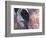 Goa, India, Close-up of Elephants Eye-Peter Adams-Framed Photographic Print