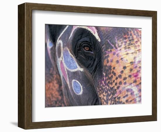 Goa, India, Close-up of Elephants Eye-Peter Adams-Framed Photographic Print