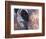 Goa, India, Close-up of Elephants Eye-Peter Adams-Framed Photographic Print