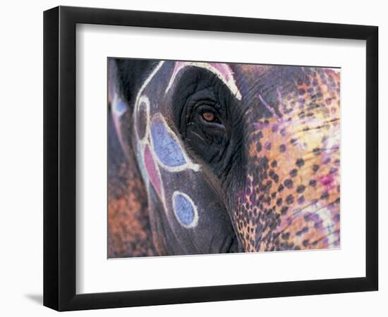 Goa, India, Close-up of Elephants Eye-Peter Adams-Framed Photographic Print