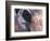 Goa, India, Close-up of Elephants Eye-Peter Adams-Framed Photographic Print