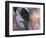 Goa, India, Close-up of Elephants Eye-Peter Adams-Framed Photographic Print