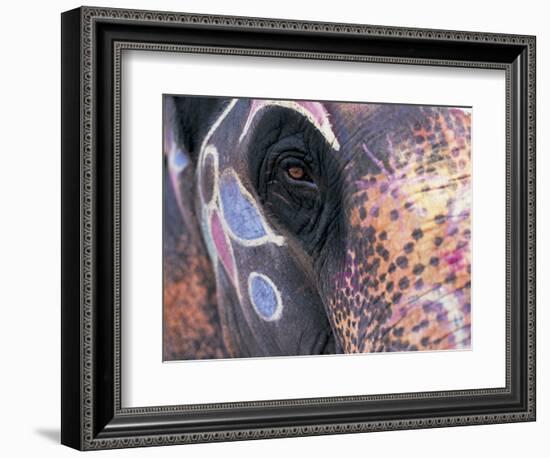 Goa, India, Close-up of Elephants Eye-Peter Adams-Framed Photographic Print