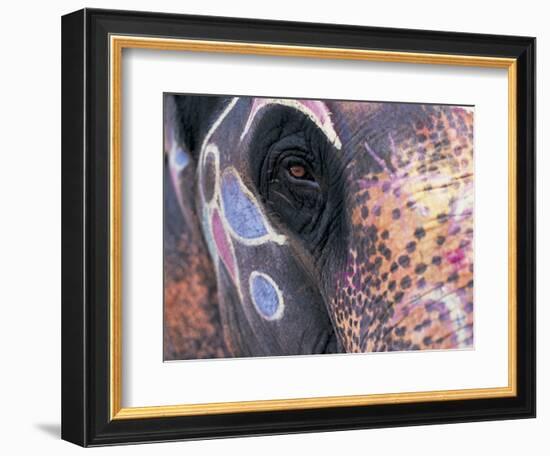 Goa, India, Close-up of Elephants Eye-Peter Adams-Framed Photographic Print