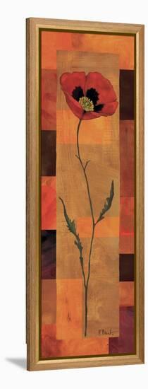 Goa Poppy Panel I-Paul Brent-Framed Stretched Canvas