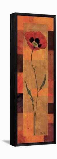 Goa Poppy Panel I-Paul Brent-Framed Stretched Canvas