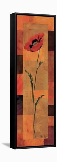 Goa Poppy Panel II-Paul Brent-Framed Stretched Canvas