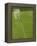 Goal and Net on Empty Soccer Field-David Madison-Framed Premier Image Canvas