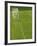 Goal and Net on Empty Soccer Field-David Madison-Framed Photographic Print