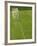 Goal and Net on Empty Soccer Field-David Madison-Framed Photographic Print