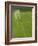 Goal and Net on Empty Soccer Field-David Madison-Framed Photographic Print