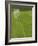 Goal and Net on Empty Soccer Field-David Madison-Framed Photographic Print