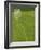 Goal and Net on Empty Soccer Field-David Madison-Framed Photographic Print