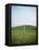 Goal Post in Field-Michael Prince-Framed Premier Image Canvas