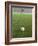 Goalie Anticipating Soccer Kick-David Madison-Framed Photographic Print