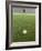 Goalie Anticipating Soccer Kick-David Madison-Framed Photographic Print