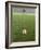 Goalie Anticipating Soccer Kick-David Madison-Framed Photographic Print