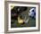 Goalie Attempting to Stop a Soccer Ball-null-Framed Photographic Print