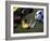 Goalie Attempting to Stop a Soccer Ball-null-Framed Photographic Print